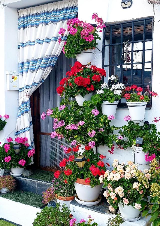 شقة Casa Alhambra - Centro Historico Con Jardin Privado غرناطة المظهر الخارجي الصورة