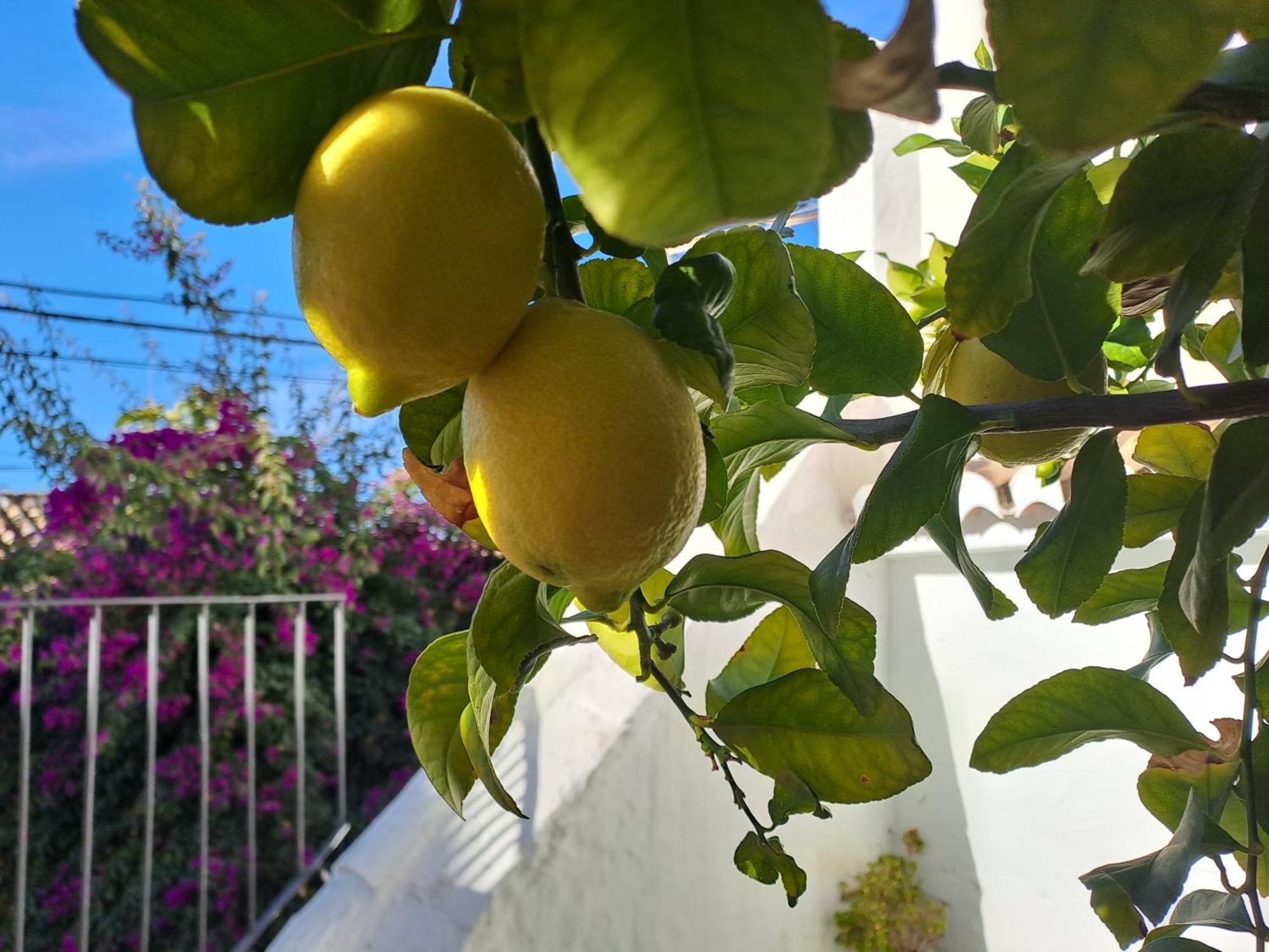 شقة Casa Alhambra - Centro Historico Con Jardin Privado غرناطة المظهر الخارجي الصورة